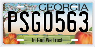 GA license plate PSG0563
