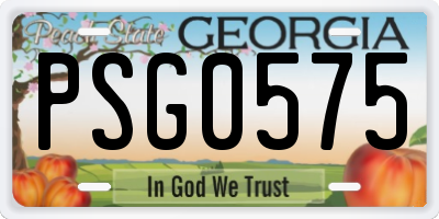 GA license plate PSG0575