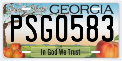 GA license plate PSG0583