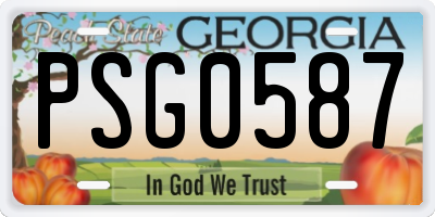 GA license plate PSG0587