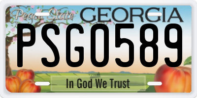 GA license plate PSG0589