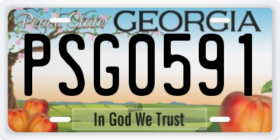 GA license plate PSG0591