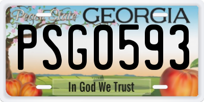 GA license plate PSG0593