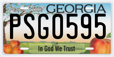 GA license plate PSG0595