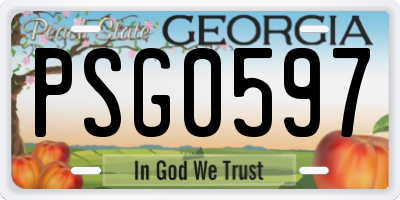 GA license plate PSG0597