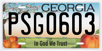 GA license plate PSG0603