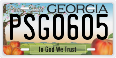 GA license plate PSG0605