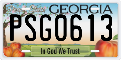GA license plate PSG0613