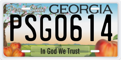 GA license plate PSG0614