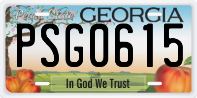 GA license plate PSG0615