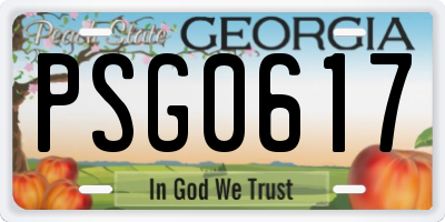 GA license plate PSG0617