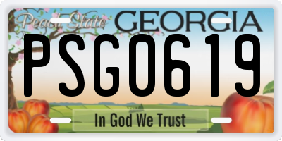 GA license plate PSG0619