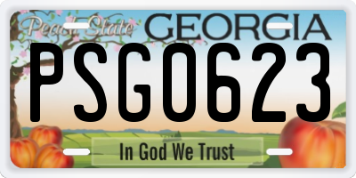 GA license plate PSG0623