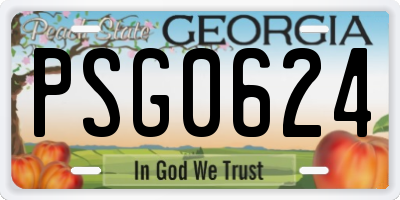 GA license plate PSG0624