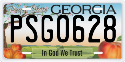GA license plate PSG0628
