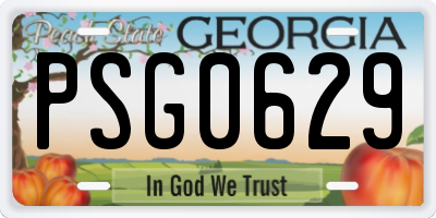 GA license plate PSG0629