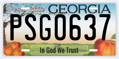 GA license plate PSG0637