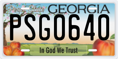 GA license plate PSG0640