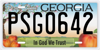 GA license plate PSG0642