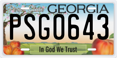 GA license plate PSG0643