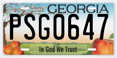 GA license plate PSG0647