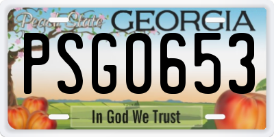 GA license plate PSG0653