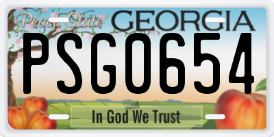 GA license plate PSG0654