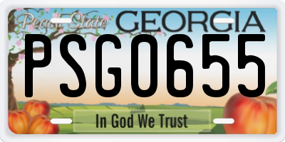 GA license plate PSG0655