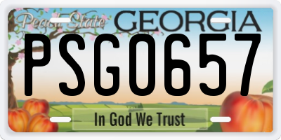 GA license plate PSG0657