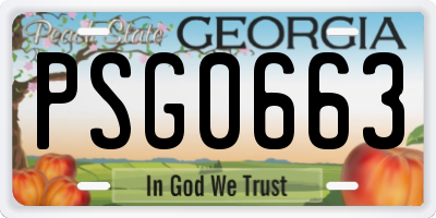 GA license plate PSG0663