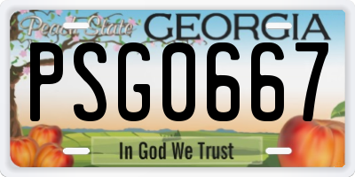 GA license plate PSG0667