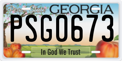 GA license plate PSG0673