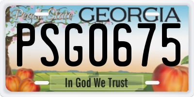 GA license plate PSG0675