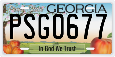GA license plate PSG0677