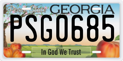 GA license plate PSG0685