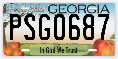 GA license plate PSG0687