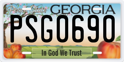 GA license plate PSG0690