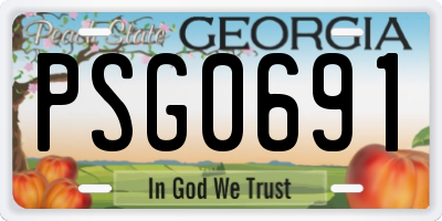 GA license plate PSG0691