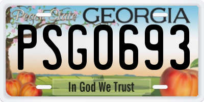 GA license plate PSG0693