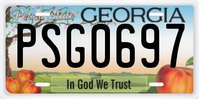 GA license plate PSG0697