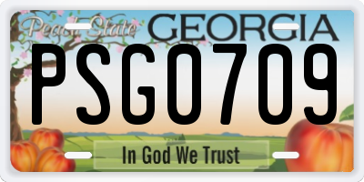 GA license plate PSG0709