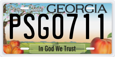 GA license plate PSG0711