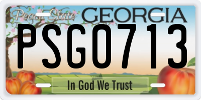 GA license plate PSG0713