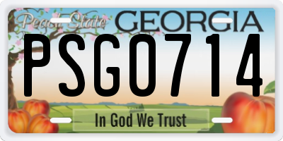 GA license plate PSG0714