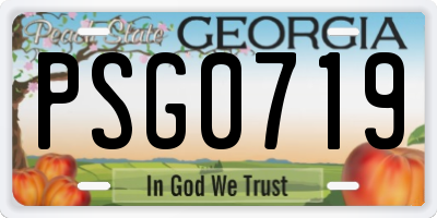 GA license plate PSG0719