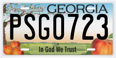 GA license plate PSG0723