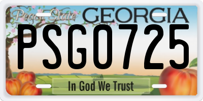 GA license plate PSG0725