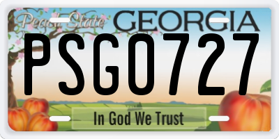 GA license plate PSG0727