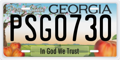 GA license plate PSG0730