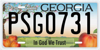 GA license plate PSG0731